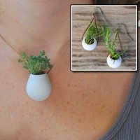 Planta collar y aretes